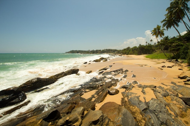 Playa solitaria secreta oculta del paraíso en Mirissa, Sri Lanka