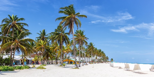 Playa Spratt Bight viajes de playa con palmeras vacaciones panorama mar en la isla de San Andrés en Colombia