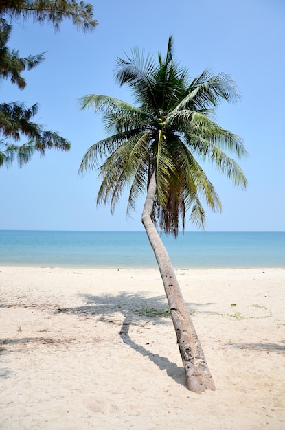 Playa de Thung Wua Laen en Chumphon Tailandia