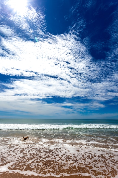 Playa de torregorda