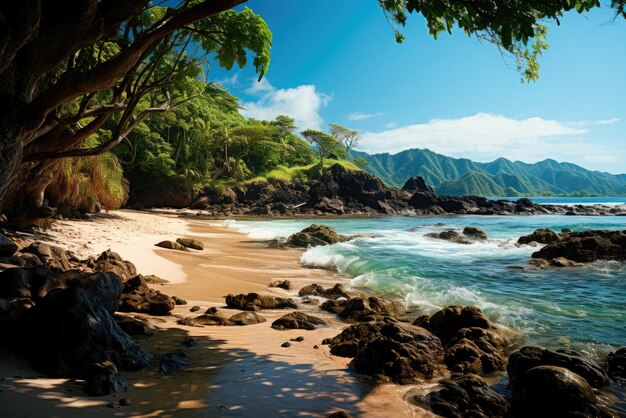 Playa tropical con agua clara y rocas en un día soleado Vacaciones de verano