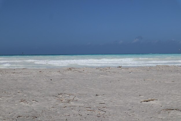 Foto playa tropical de arena blanca