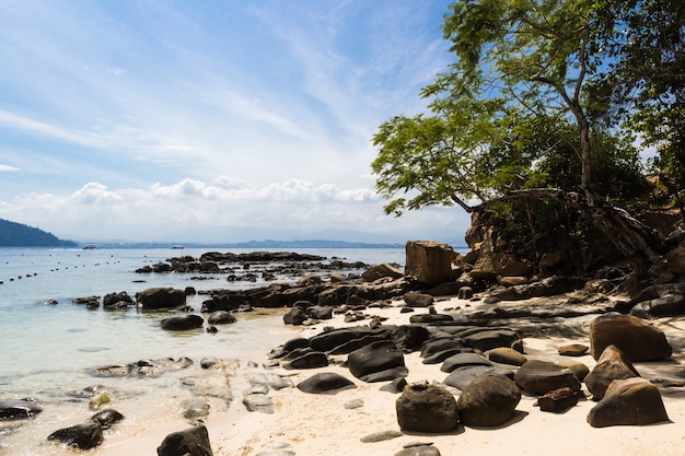 Playa tropical de arena con grandes piedras grises.