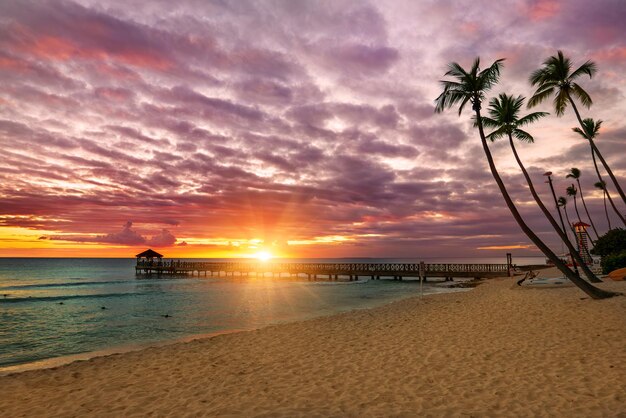 La playa tropical del Caribe