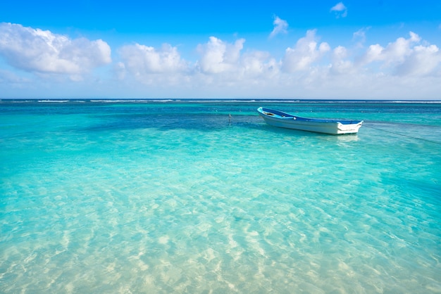 Playa tropical caribeña agua turquesa