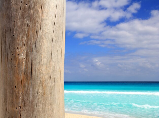 Playa tropical caribeña madera palo degradado