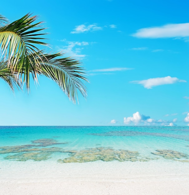 Foto playa tropical en cerdeña italia