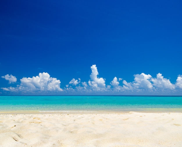 playa tropical en día soleado