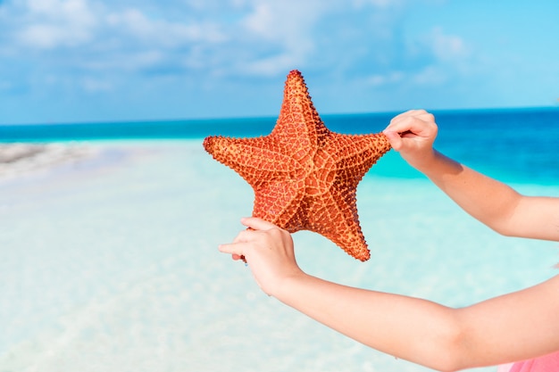 Playa tropical con una hermosa estrella de mar roja