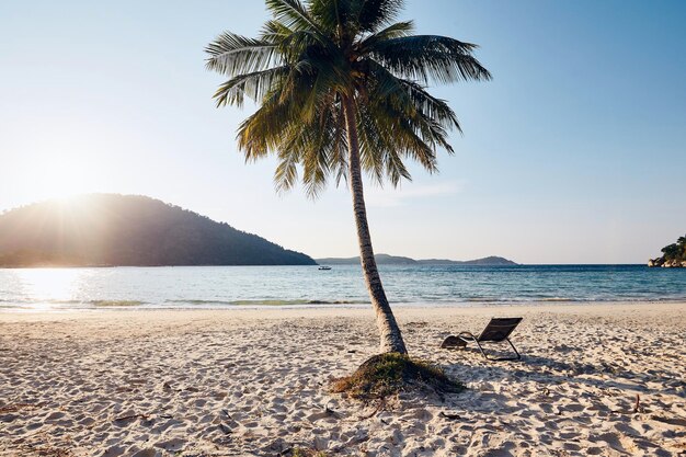 Foto playa tropical en la hermosa puesta de sol silla vacía bajo la palmera contra el mar