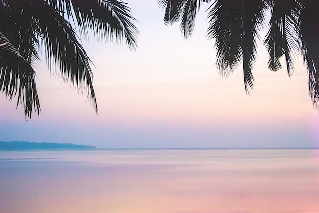 Playa tropical hojas de palmeras que sobresalen de las esquinas del marco hermoso amanecer en el mar