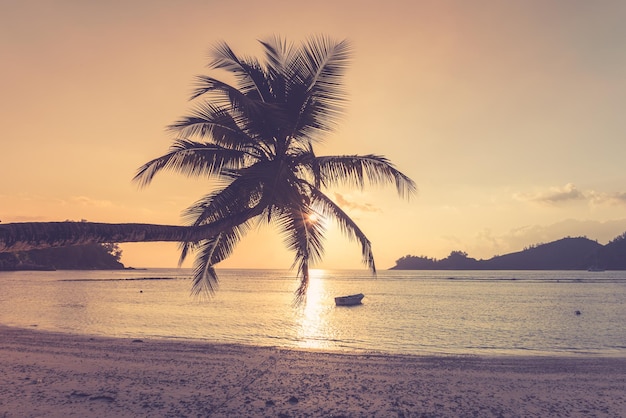 Playa tropical en la isla de Mahe Seychelles Toma filtrada con fuga de luz en el pulm y sol brillante