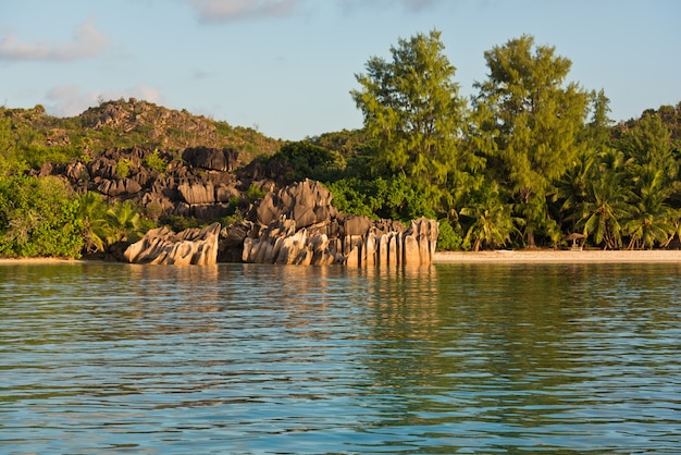 Playa tropical en la isla