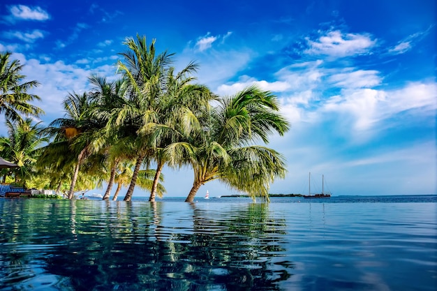 Playa tropical de Maldivas - Concepto de vacaciones