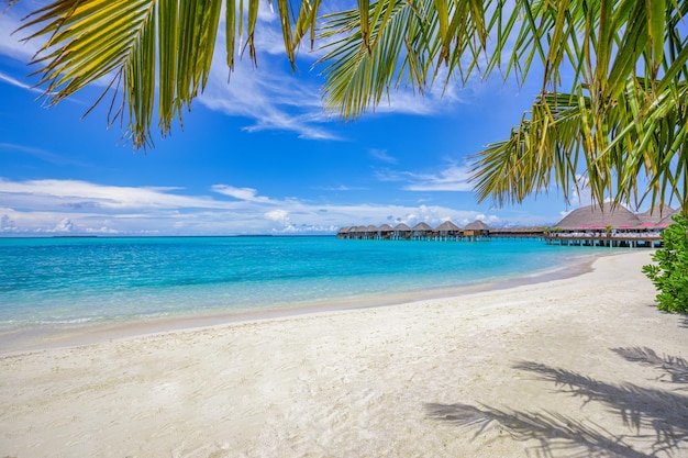 Playa tropical Maldivas Jetty camino a la tranquila isla del paraíso Palmeras arena blanca mar cielo