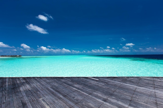 Playa tropical en Maldivas con pocas palmeras y azul.