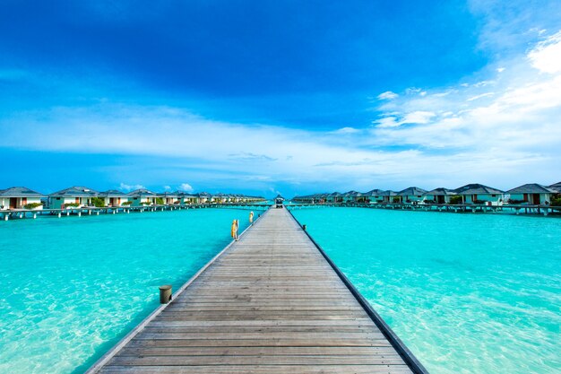 Playa tropical en Maldivas con pocas palmeras y laguna azul