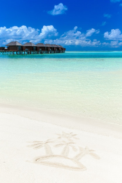 Playa tropical en Maldivas con pocas palmeras y laguna azul