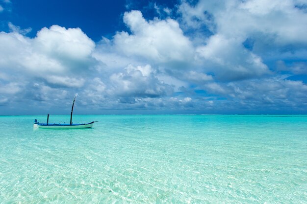 Playa tropical en Maldivas con pocas palmeras y laguna azul