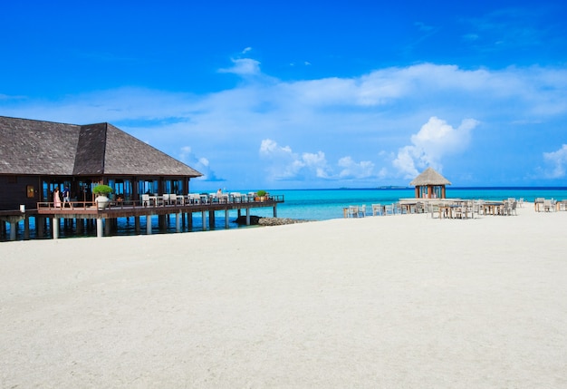 Playa tropical en Maldivas con pocas palmeras y laguna azul