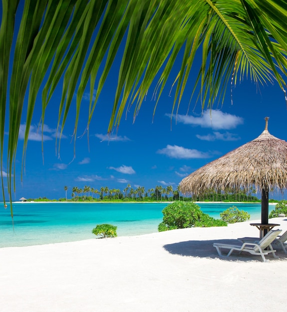 Playa tropical en Maldivas con pocas palmeras y laguna azul