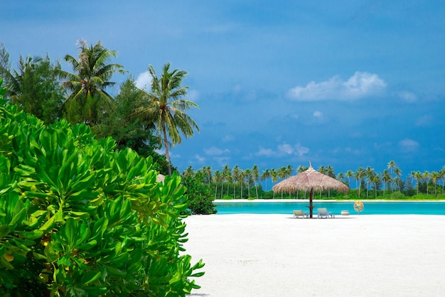 Playa tropical en Maldivas con pocas palmeras y laguna azul