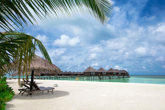 Playa tropical en Maldivas con pocas palmeras y laguna azul