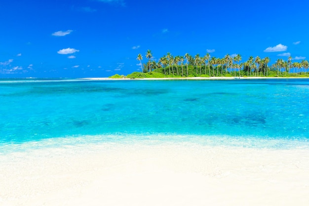 Playa tropical en Maldivas con pocas palmeras y laguna azul