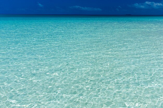 Playa tropical en Maldivas con pocas palmeras y laguna azul