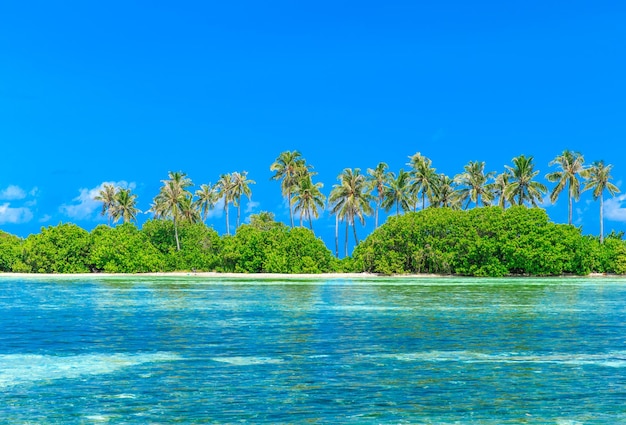 Playa tropical en Maldivas con pocas palmeras y laguna azul