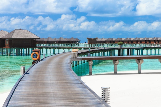 Playa tropical en Maldivas con pocas palmeras y laguna azul