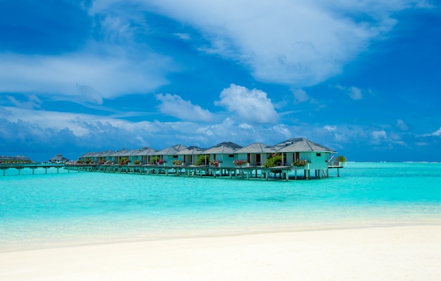 Playa tropical en Maldivas con pocas palmeras y laguna azul