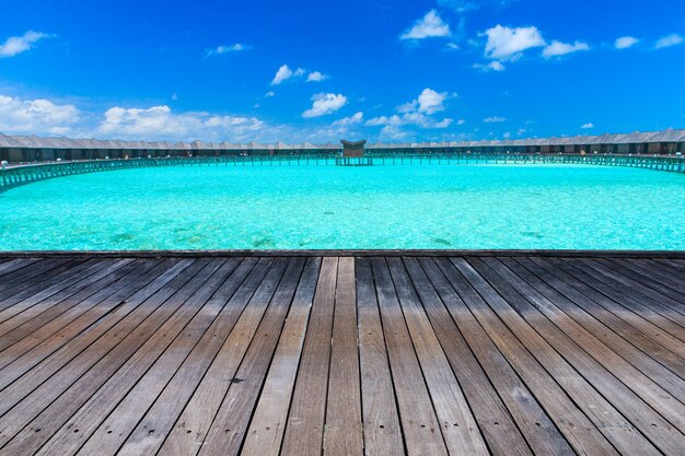 playa tropical en las Maldivas con pocas palmeras y una laguna azul