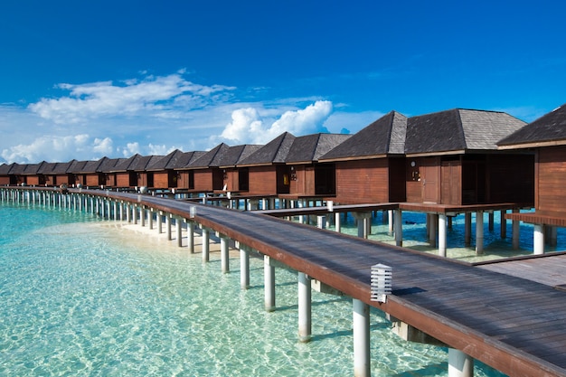 Playa tropical en Maldivas con pocas palmeras y laguna azul