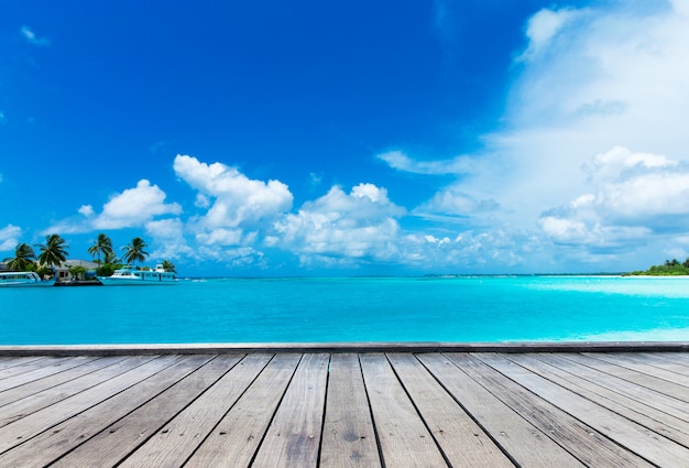 Playa tropical en Maldivas con pocas palmeras y laguna azul