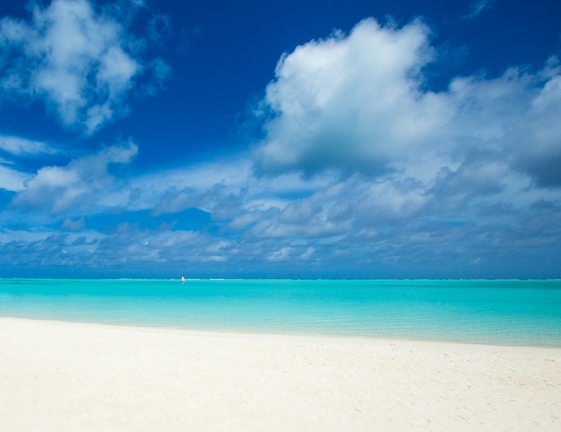 Playa tropical en Maldivas con pocas palmeras y laguna azul