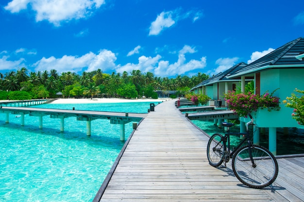 Playa tropical en Maldivas con pocas palmeras y laguna azul