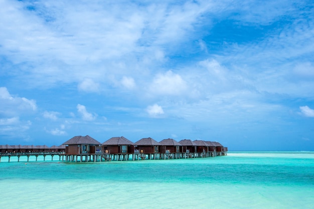 Playa tropical en Maldivas con pocas palmeras y laguna azul