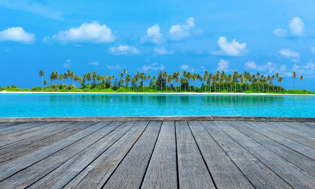 Playa tropical en Maldivas con pocas palmeras y laguna azul