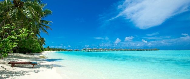 Foto playa tropical en maldivas con pocas palmeras