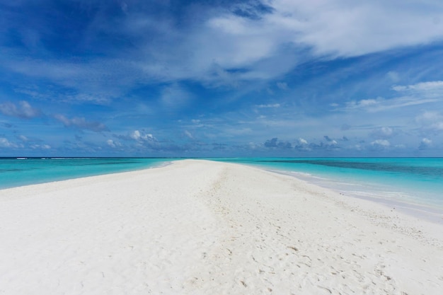 Playa tropical con mar claro y arena dorada