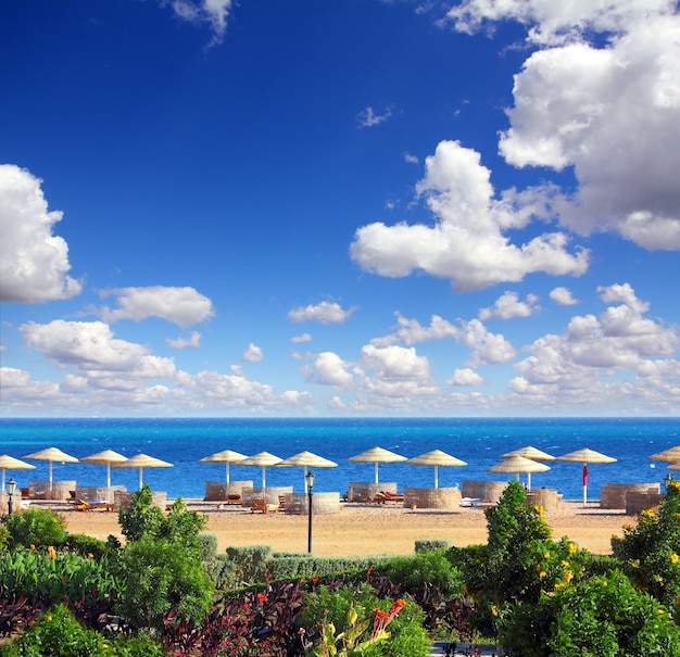 Playa tropical y mar rojo