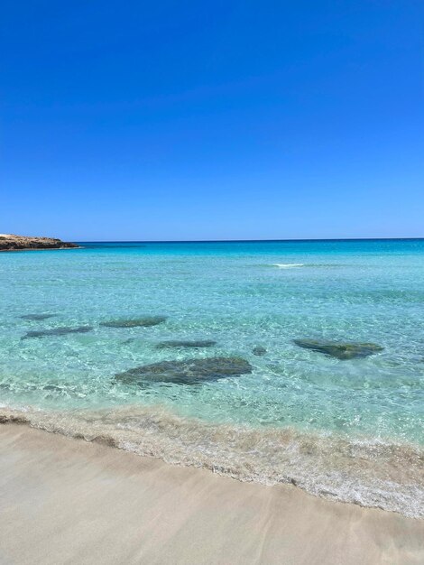 Playa tropical. Marina. Chipre