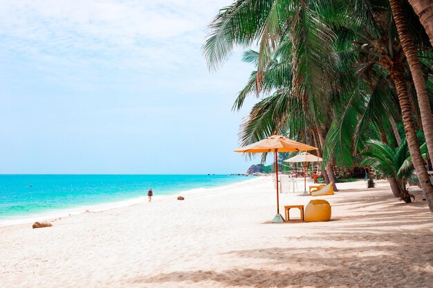 Una playa tropical con palmeras y arena blanca Viajes y turismo