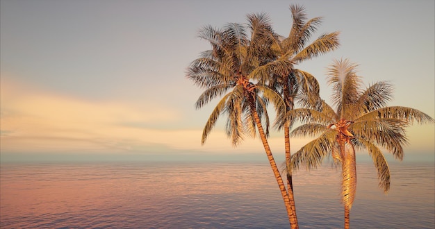 Una playa tropical con palmeras y el cielo al atardecer.