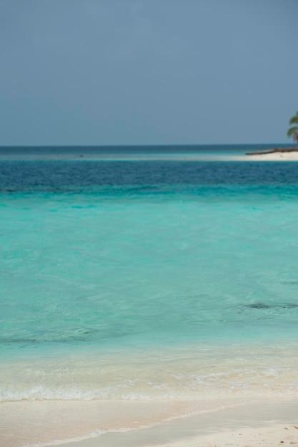 Playa tropical con palmeras durante un día soleado Guna Yala Comarca Panamá