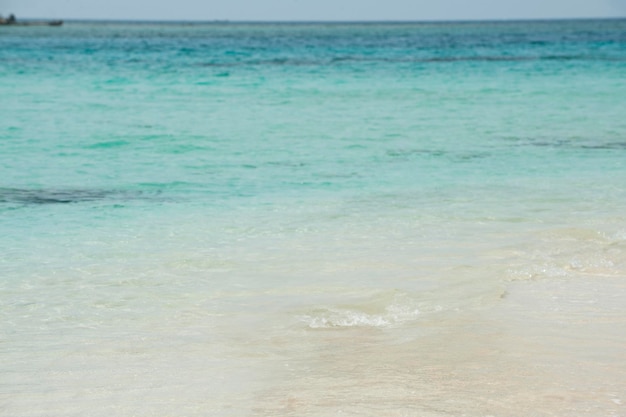 Foto playa tropical con palmeras durante un día soleado guna yala comarca panamá