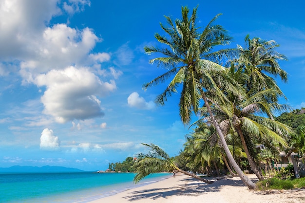 Playa tropical con palmeras en la isla de Koh Samui