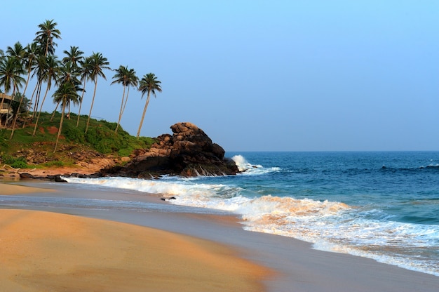 Playa tropical con palmeras en la isla de Sri Lanka