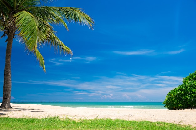 Playa tropical con palmeras y laguna azul.